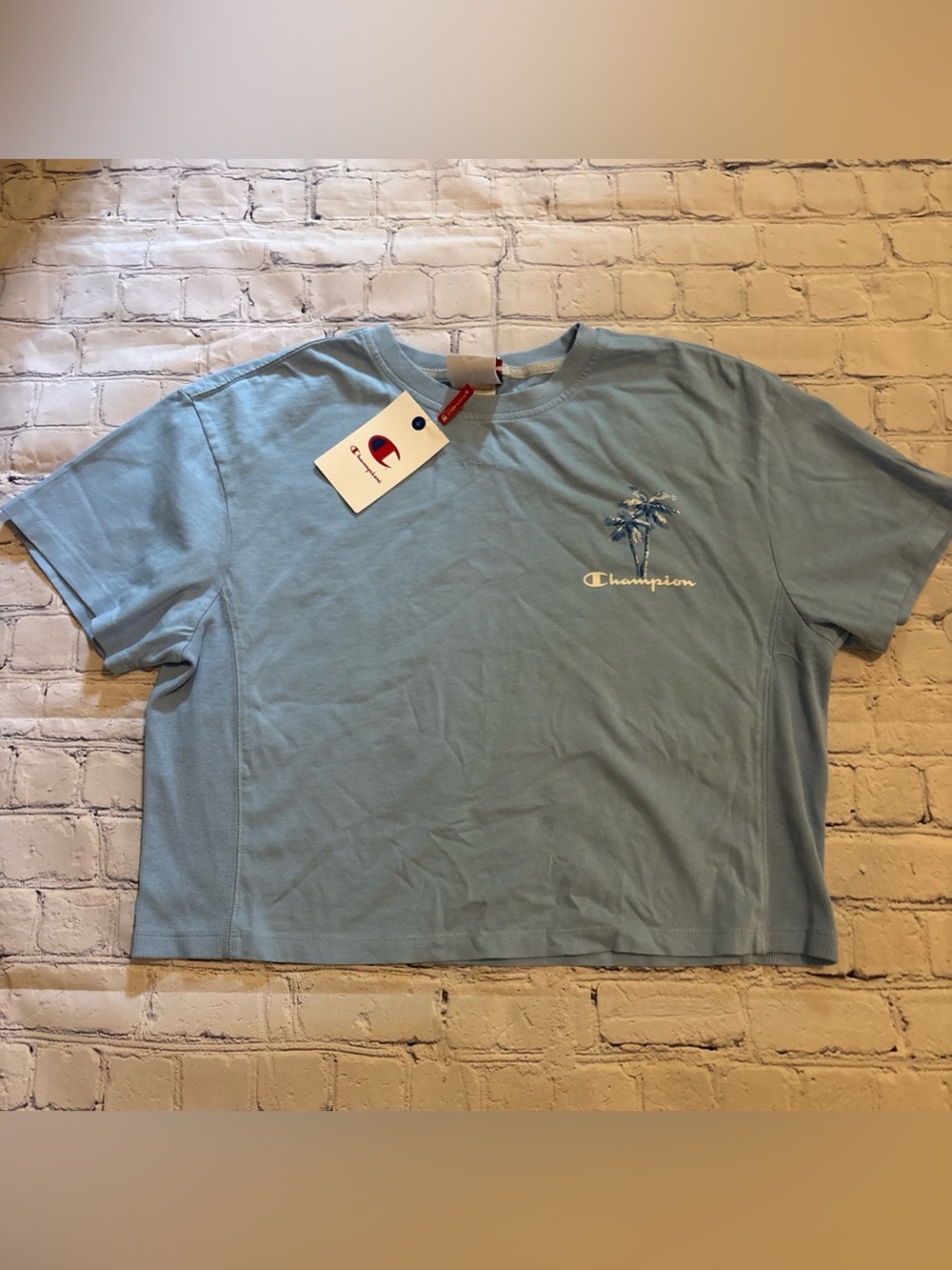 Champion Cropped Loose Fit Graphic Top